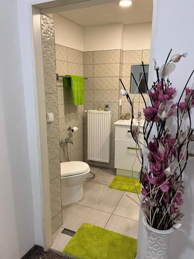 Thermal Apartments Teplice Kültér fotó