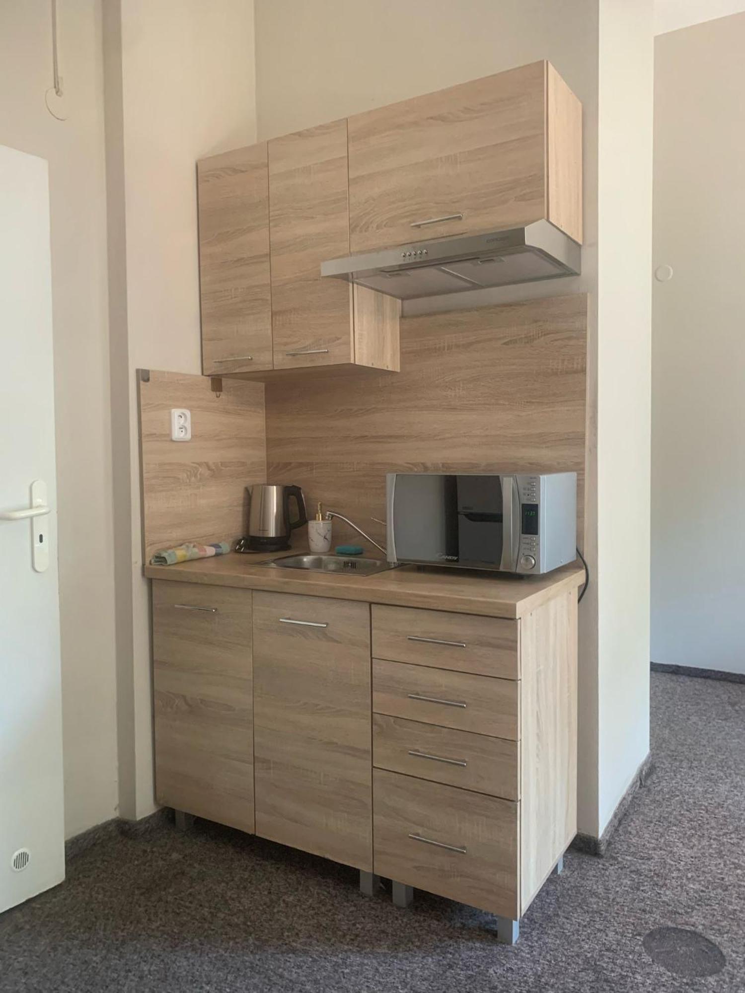 Thermal Apartments Teplice Szoba fotó